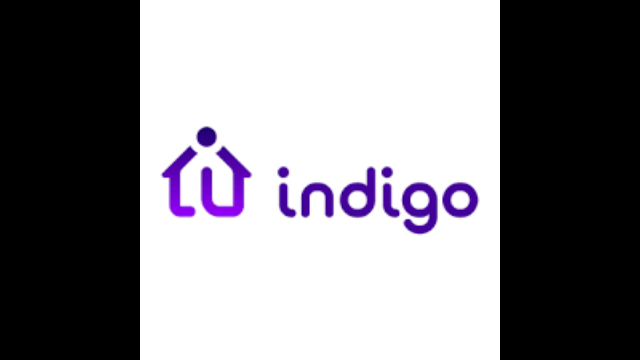 indigo